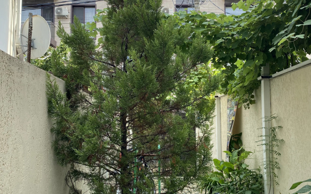 Na Kuvshinok 7k1 32 Flat