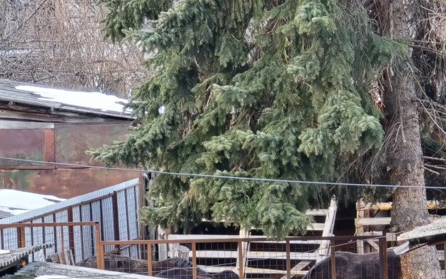 Квартира с видом на горы на улице Энгельса 15