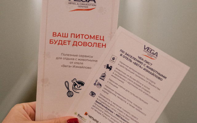 Vega Izmailovo Hotel