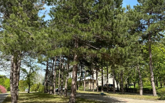 Atelika Teshebs Guest House