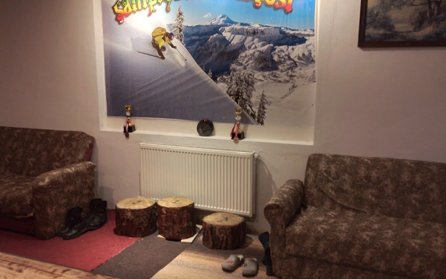 Отель Metinoğlu Pansiyon (Chalet Khione) Sarıkamış