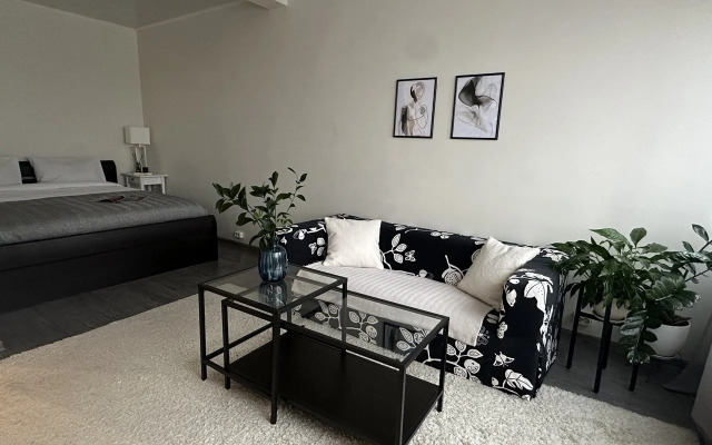 Апартаменты 1896 Видовая Студия Прямо у  М Московская