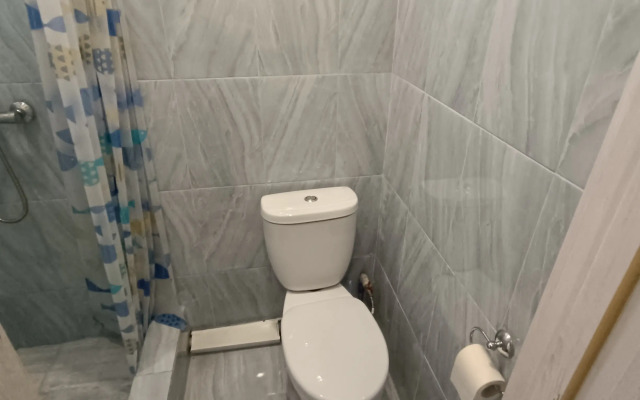 Апартаменты Студия на Киевской 60 233