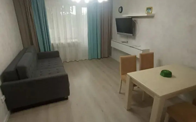 Na Prospekte Ibragimova 32a Flat