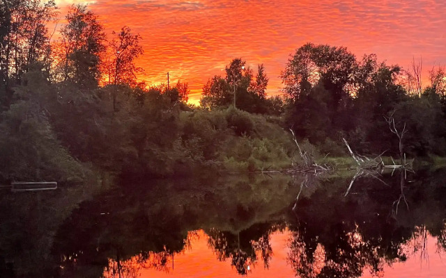 Гостевой дом Лисий берег