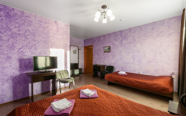 Staryij Pskov Guest house