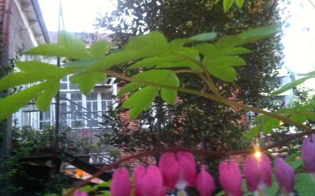Granat Garden Guest House