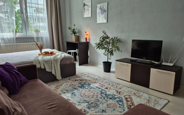 Апартаменты KolomyagiApart