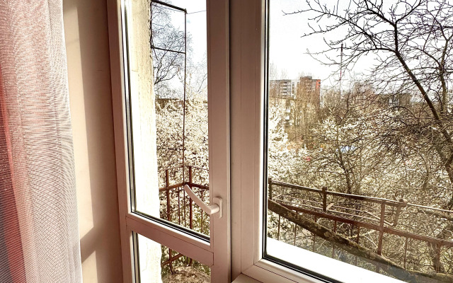 Апартаменты Душевные