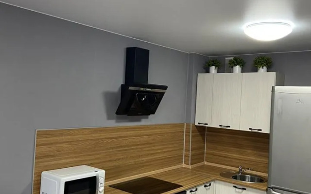 Na ul. Yeleny Kolesovoy, 26B Flat