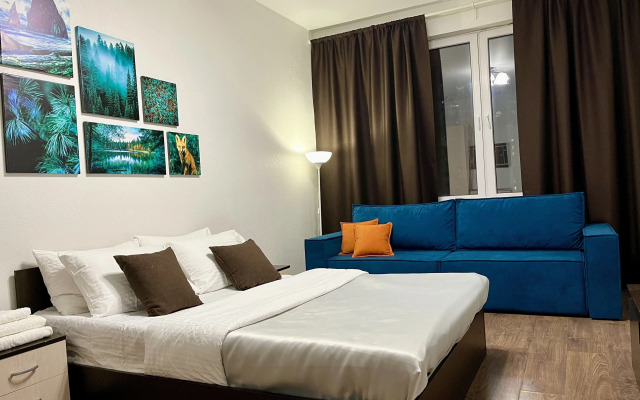 Odnokomnatnaya v Komfortnom Zhk Flat