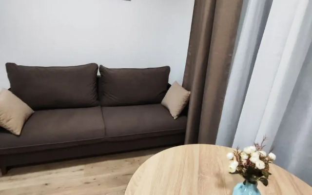 Квартира Апартаменты Абриго, студия Федора Заостровского 4