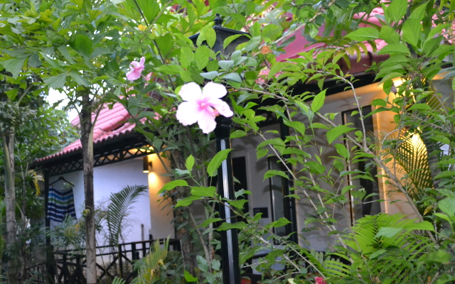 Nature Boutique Residence Villa