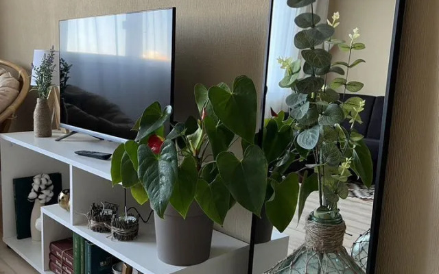 Квартира на Юбилейной 65