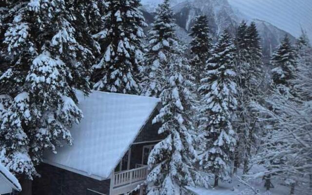 Potap Guest House
