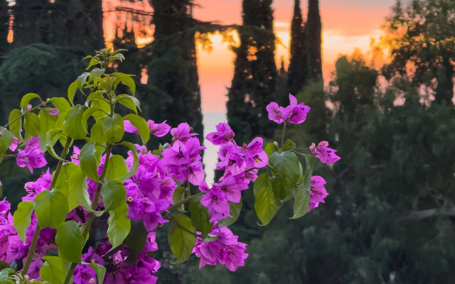 Boutique hotel AIMARA