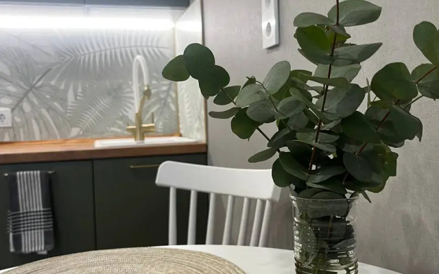 Studiya S Dizaynerskim Remontom Apartments