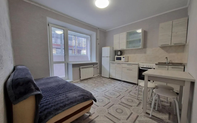 Flat Na Radischeva