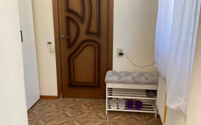 Na Prospekte Kirova 53 Apartments