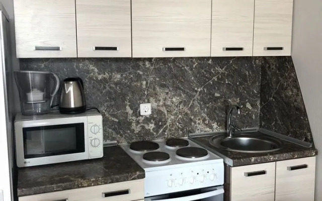 Апартаменты 36 на улице Елизаровых 15/1