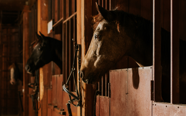 Agroturisticheskij Kompleks El Rancho Hotel
