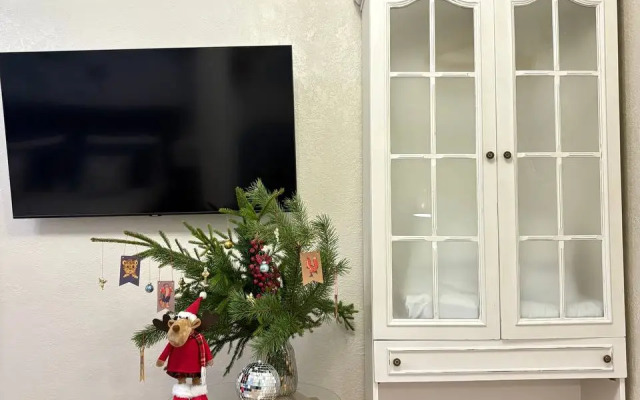 Квартира в историческом центре, Собинова 50к2