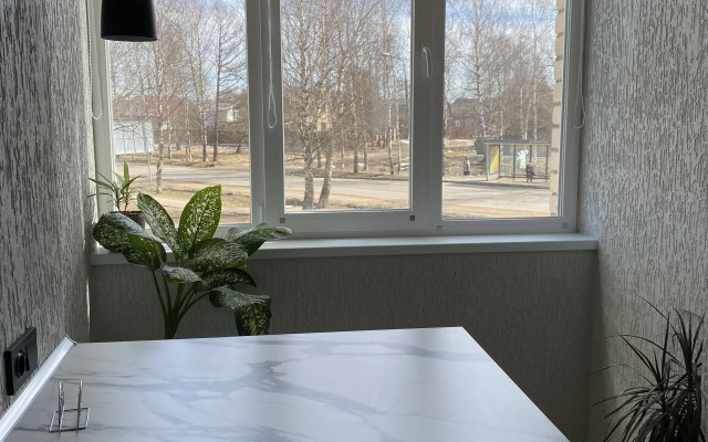 Lebedinoye Gnezdyshko Flat