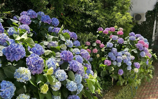 Evkalipt Guest house