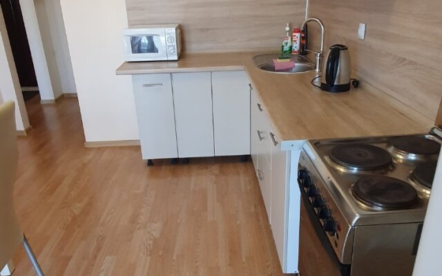 Vozle Ashana Flat