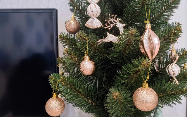 Квартира на Зеленом Клину