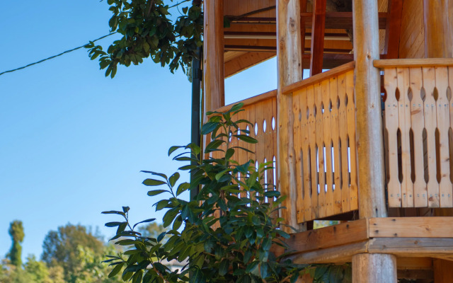 TreeHouse GoldenSeaView TreeHouse Private house