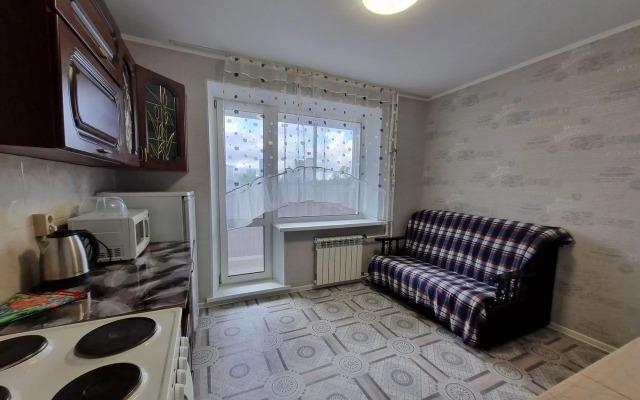 Na Radischeva  Flat