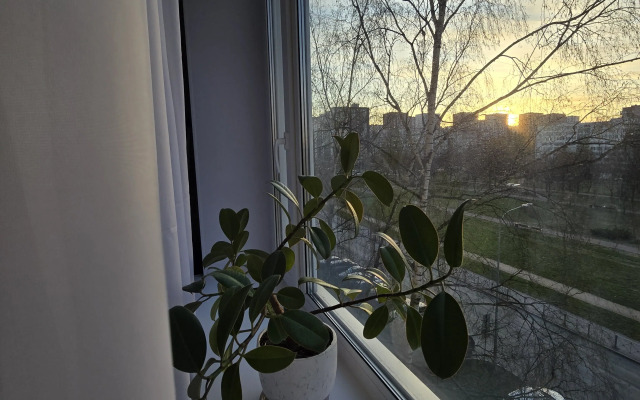 Uyutnaya Odnokomnatnaya Bliz Oktyabryskoy Naberezhnoy Flat