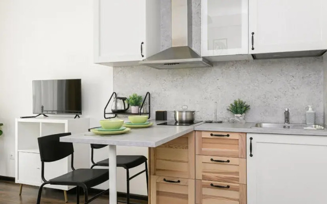 Studiya Na Lomonosovskoy Flat