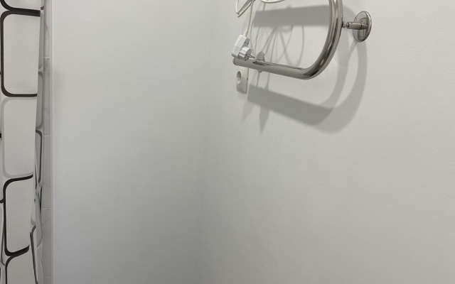 S Novym Remontom Studio Flat