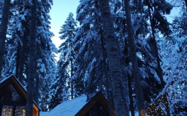 База отдыха Barn&Wood