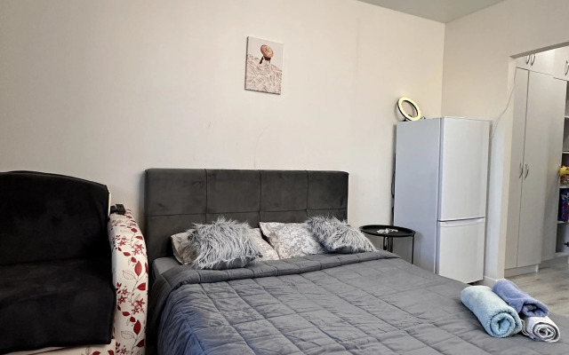 Svetlaya S Udobnoy Krovatyyu Flat