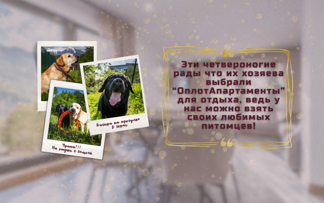 Апартаменты Оплот - «SCANDI» - с мини балконом 2