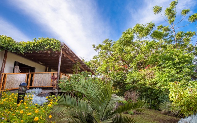 Отель Easter Island Eco Lodge