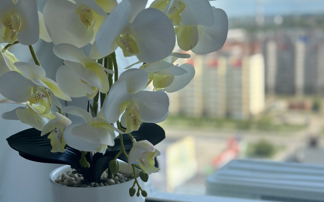 Апартаменты с джакузи