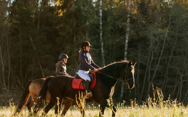 Agroturisticheskij Kompleks El Rancho Hotel