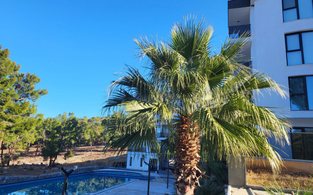 Asya Residence Apartments