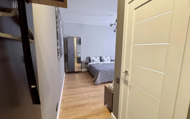 Studiya Samy Tsentr Apartments