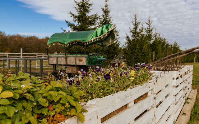 Agroturisticheskij Kompleks El Rancho Hotel