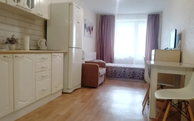 Квартира Студия Большая Подгорная 87