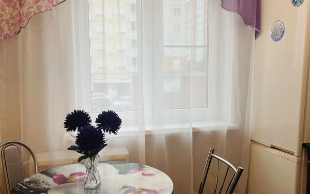 Odnokomnatnaya Aleksandrovskiy 5 Flat