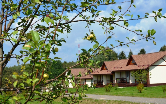 База Активного Отдыха Иволга