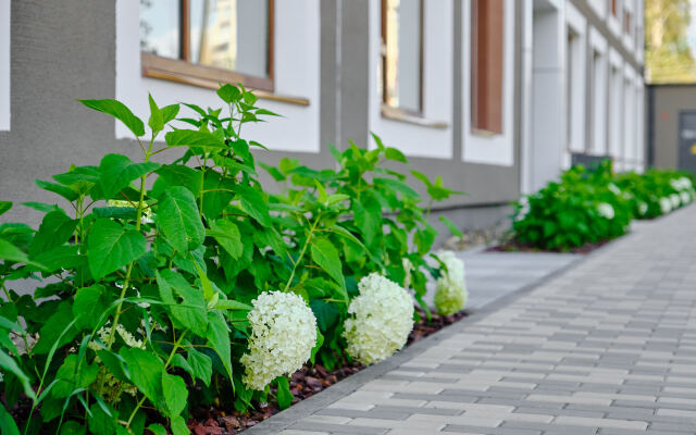 Квартира на Шаумяна 20