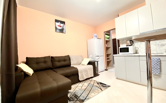 Апартаменты Проспект Молодёжный 33к1 квартира 151