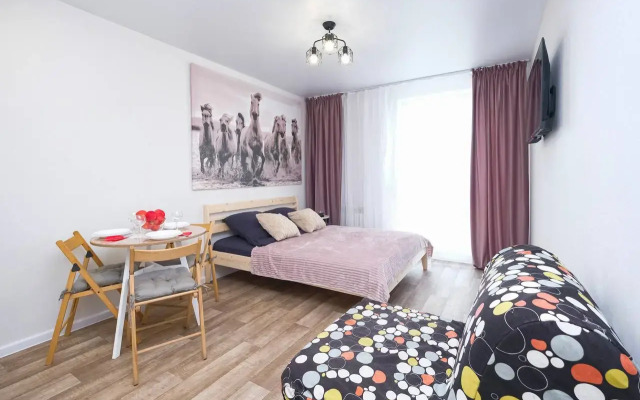 Апартаменты Комфортабельная Студия от собственника на Радуге Сибири